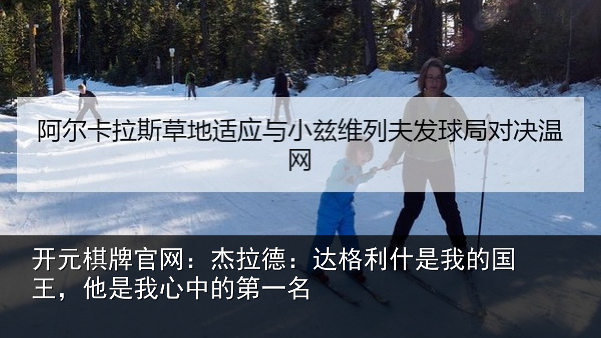 开元棋牌官网:杰拉相关情况国王相关情况名