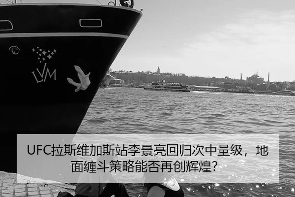 la-si-wei-jia-si-zhan-li-jing-liang-hui-gui-ci-zhong-liang-ji-di-mian-chan-dou-ce-lve-neng-fou-zai-chuang-hui-huang-3-434.jpg
