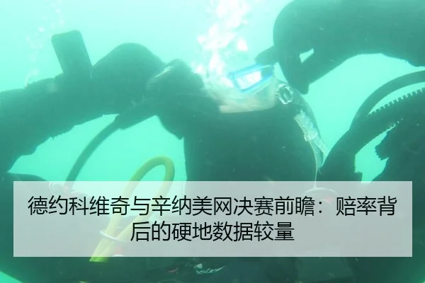 德约科维奇与辛纳美网决赛前瞻：赔率背后的硬地数据较量