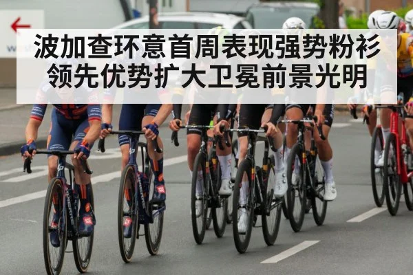 professional road cycling race