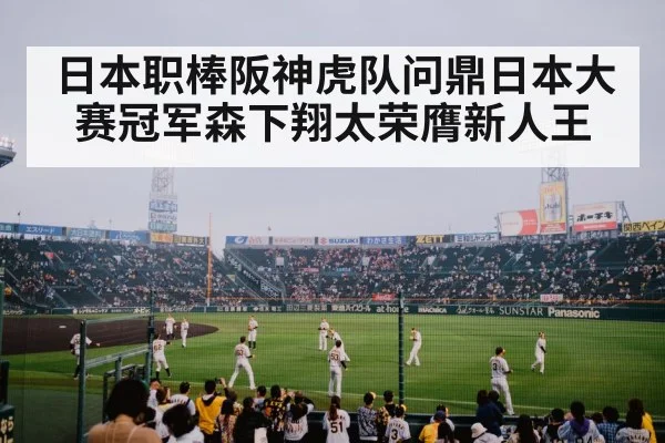 日本职棒阪神虎队问鼎日本大赛冠军森下翔太荣膺新人王